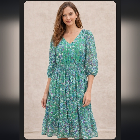 Maison Tara Dresses & Skirts - MAISON TARA Floral GARDEN Spring Boho V Neck Green Blue Dress 6